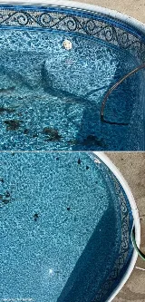 Keith's Pool Service and Repair, LLC photo 8