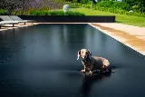 Southern Sky Pool & Spa photo 2